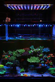 Reef Aquarium Led Light Photos Gallery