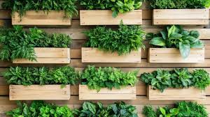 Planter Box Images Browse 11 643