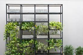 Vertical Garden Ideas For Small Spaces