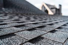 the roofing dudes roofing services in