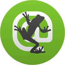Screamingfrog Icon For Free