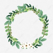 White Small Flower Green Vine Plant