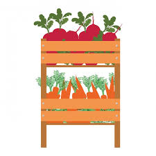 Vector Box With Vegetables Isolated Icon