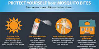 Controlling Mosquitoes At Home Zika