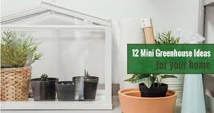 12 Mini Greenhouse Ideas For Your Home