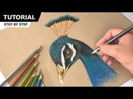 Drawing Peacock Bird Using Metallic