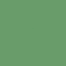 Apple Green Bs281 Standard Colour