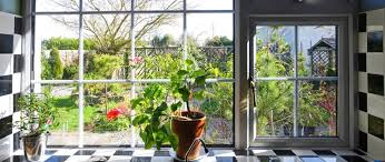 Indoor Plants In The Heat