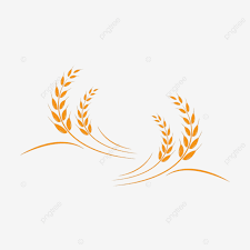 Agriculture Wheat Field Vector Art Png