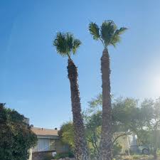 Gardeners In North Las Vegas Nv