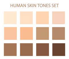 100 000 Skin Tone Chart Vector Images