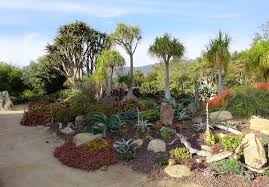 A November Stroll Through Seaside Gardens