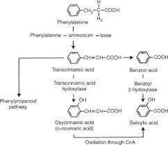 Salicylic Acid An Overview