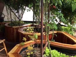Raised Planting Bed Photo Gallery