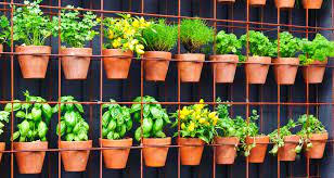 Vertical Gardening Farmers Almanac