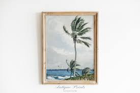 Watercolor Tropical Vintage Painting