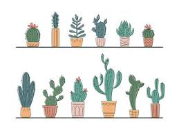 Succulents Vector Set Cactus