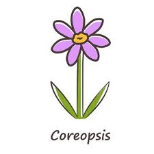 Coreopsis Purple Color Icon Rudbeckia