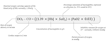 Oxygen Carrying Capacity Of Whole Blood