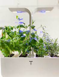 Best Indoor Garden System Tara Teaspoon