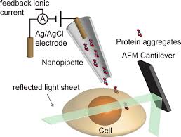 Single Molecule Light Sheet Microscopy