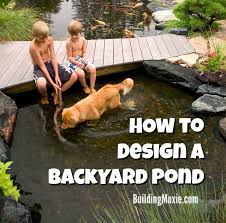 Tips For Designing A Backyard Pond