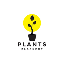 Modern Shape Black Plant Pot With Sun