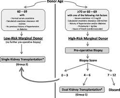 Dual Kidney Transplantation