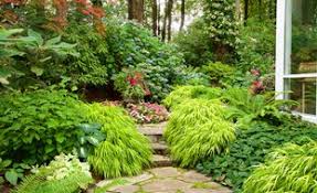 25 Perennials For Shade Garden Design
