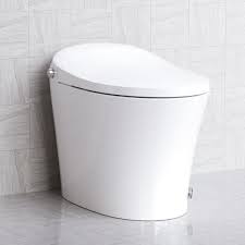 Smart Toilet Bidet