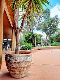 Large Indoor Outdoor Pots Sydney