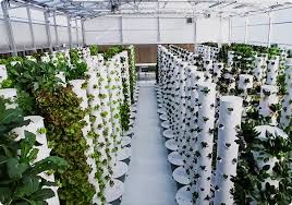 Vertical Hydroponic Tower System For
