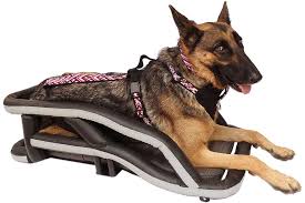 Dog Harness For Motorcycle Riding