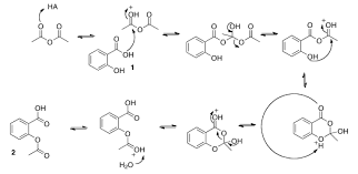 Synthesis Of Aspirin Lab Report And