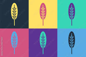 Pop Art Indian Feather Icon Isolated On