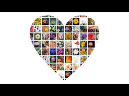 Make Heart Shape Photo Grid Collage In