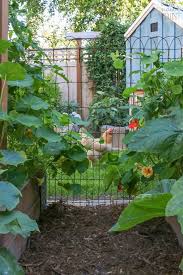 Garden Fence Ideas