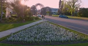 Government Gardens Rotorua Stock