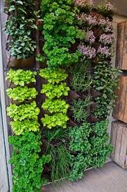 Vertical Garden Ideas For Small Spaces