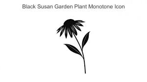 Black Susan Garden Plant Monotone Icon