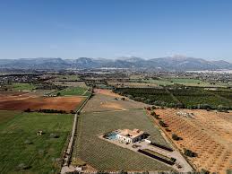 State Of The Art Finca With Vineyard
