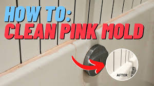 How To Clean Pink Mold In Your Shower