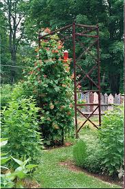 An Herb Garden In Three Parts Fine