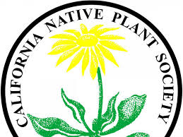Native Plant Gardening In The Spring