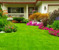 Diy Guide How To Level A Yard 2024