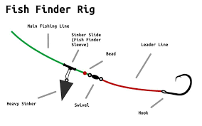 Fish Finder Rig Everything You Need