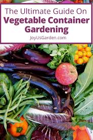 Vegetable Container Gardening Grow