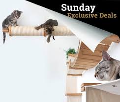 Modern Cat Furniture Wall Mounted