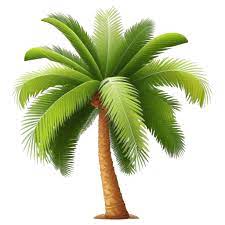 Palm Tree Icon Seaside Iconpack
