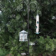 Deluxe Bird Feeding Station